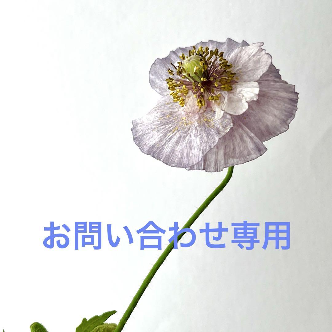 とっと様お問い合わせ専用ページ