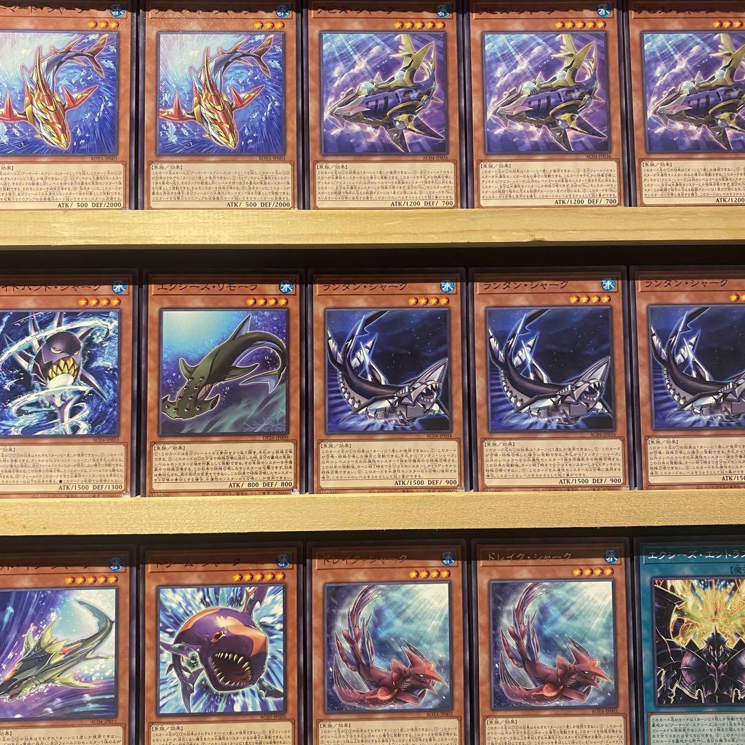 即日発送！シャーク　デッキ　遊戯王　レイジオブジアビス