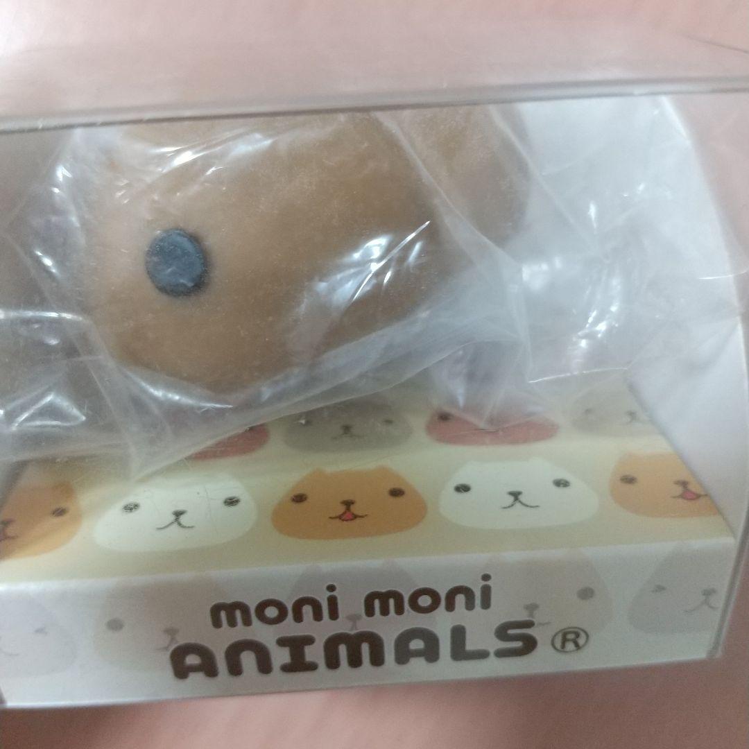 もにまるず moni moni ANIMALS カピバラさん 4個セット もにまるず moni moni ANIMALS カピバラさん 4個セット - メルカリ