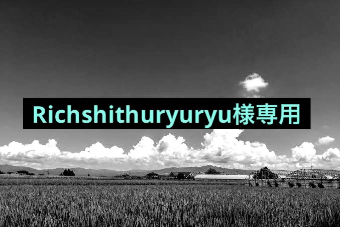 Richshithuryuryu様専用です。