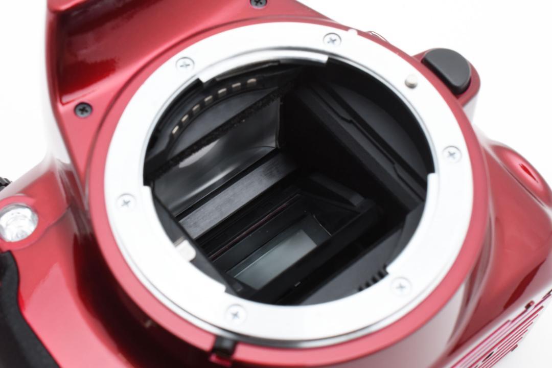 新品級 ニコン D3100 レッド デジタル ショット数 1552枚　M237
