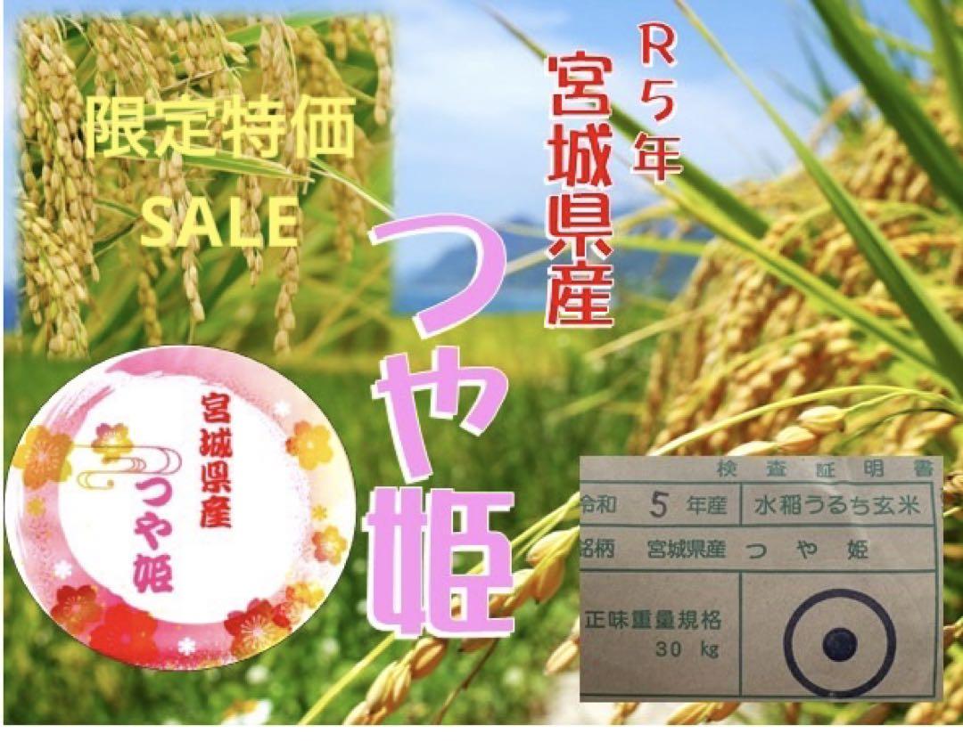 特価SALE 数量限定　5年　つや姫　1等米　玄米　30kg お米