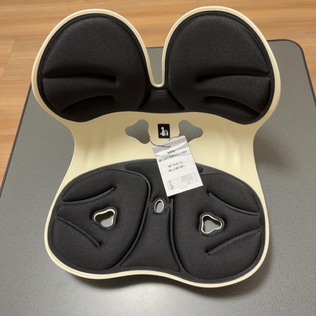 【ドイツ レッドドット賞受賞ブランド】DEZIYUA 第二世代 姿勢矯正　2個