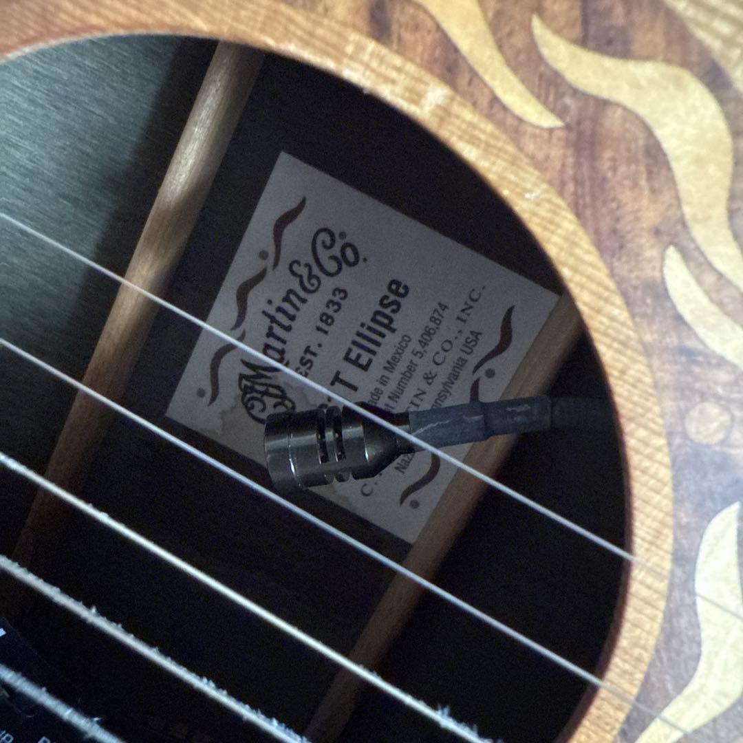 Martin & Co. XC1T ellipse カッタウェイ 楽器・機材
