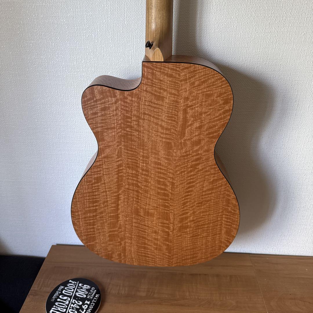 Martin & Co. XC1T ellipse カッタウェイ Martin XC1T Ellipse Acoustic-Electric (with Case) | zZounds
