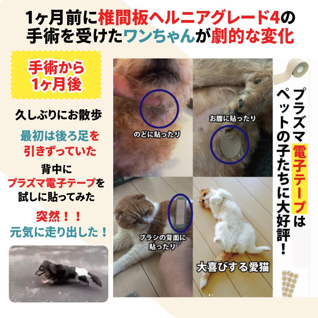 肩凝り　テーピング　痛み　生理痛　テーピング　プラズマ電子テープ