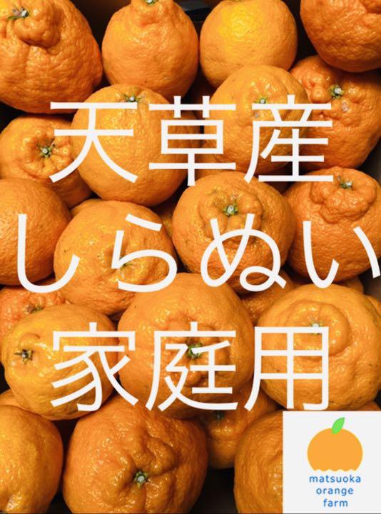 熊本県産不知火　20kg 家庭用　送料込み 楽天市場】たかおか自然農園 熊本県産 ご家庭用 不知火 9kg