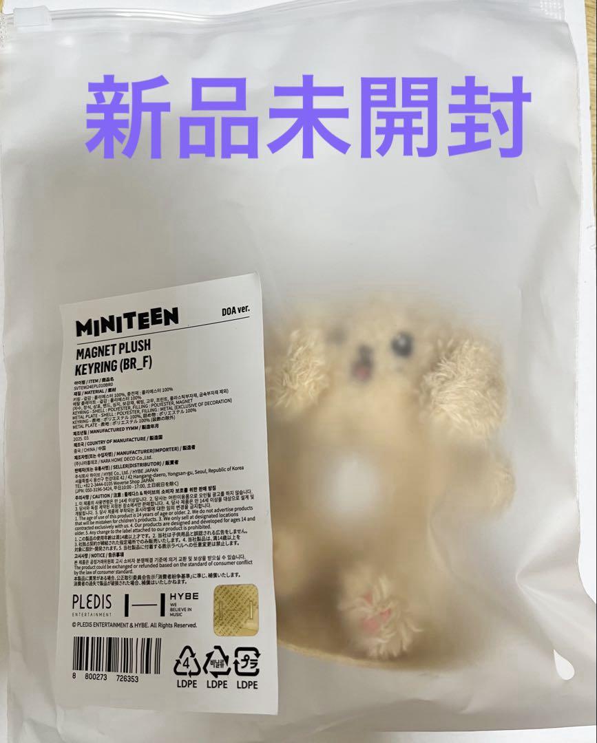SEVENTEEN miniteen マグネットキーリング　ドギョム　DOA