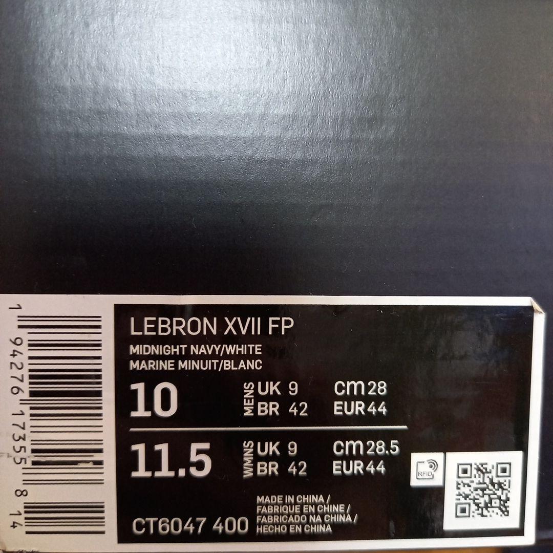 28cm NIKE LEBRON XVII EP ナイキ レブロン 17