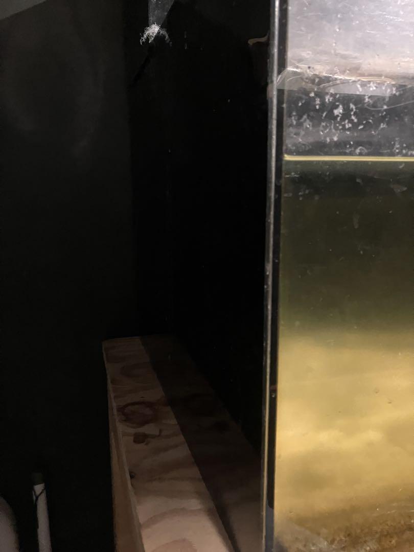 口コミ・レビューで人気商品を探そう アクリル水槽1200×600×450 引き取り限定 水槽