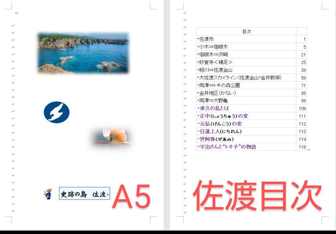 ゼンリン住宅地図 広島県大竹市 2010.09版 ゼンリン住宅地図 広島県大竹市 2010.09版