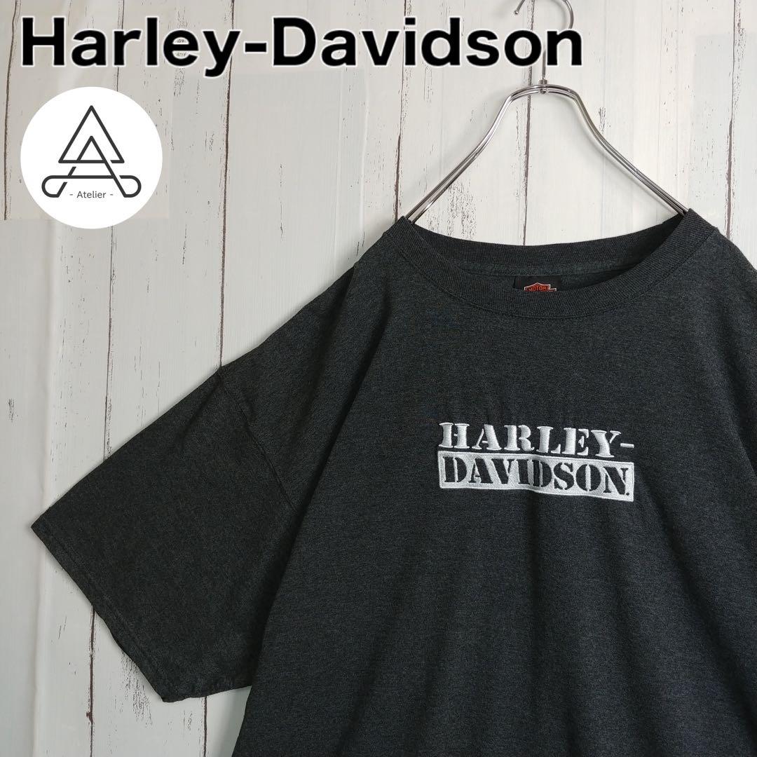 大流行中! 【希少サイズ】ハーレーダビッドソン Tシャツ 最上の品質な