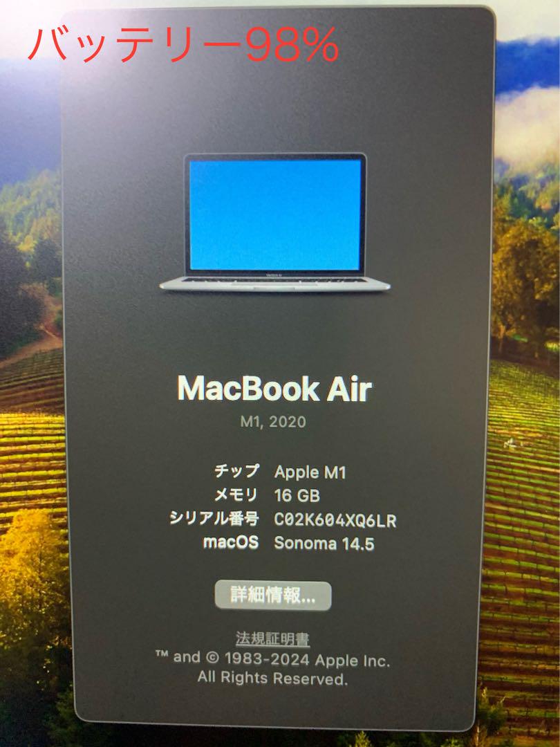 Apple MacBook Air M1 メモリ16GB SSD 256GB