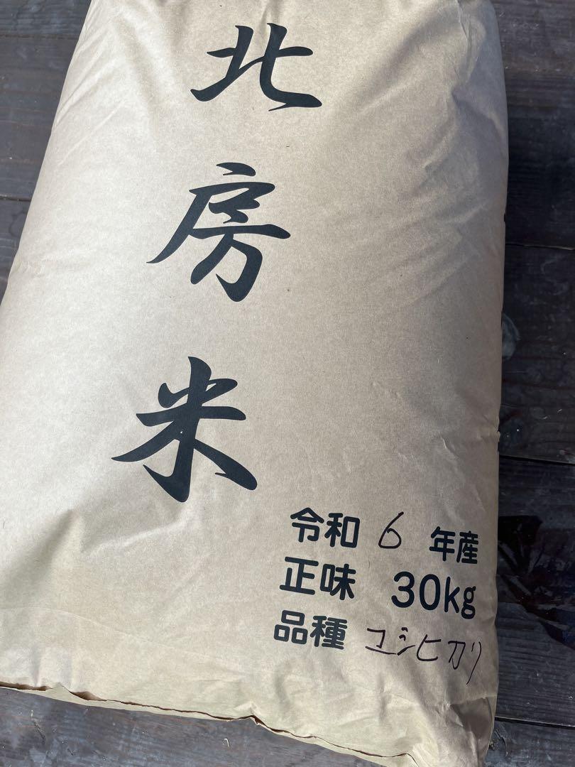 令和6年コシヒカリ新米（玄米）