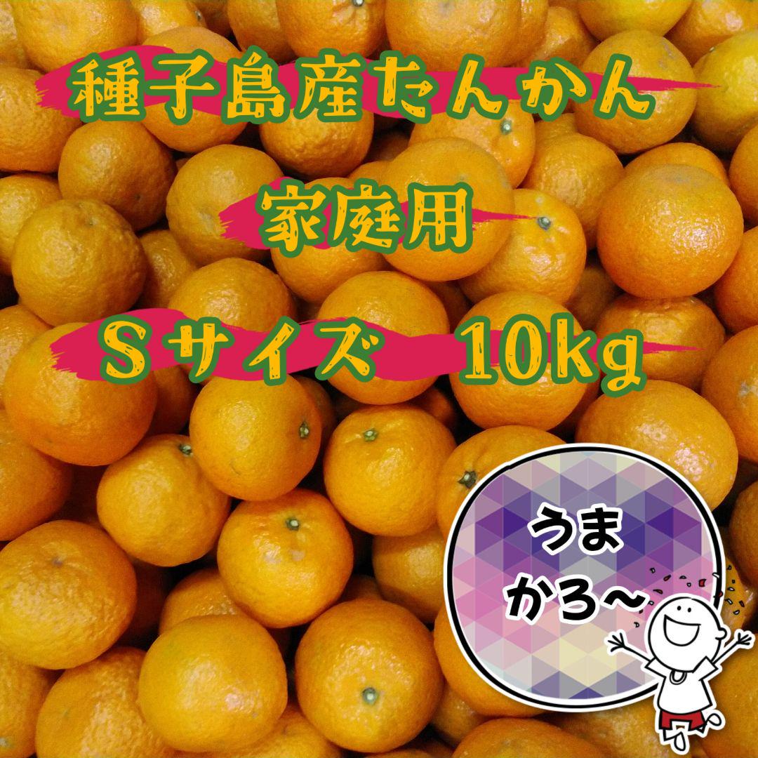 種子島産たんかんＳ★家庭用10kg 4,550円