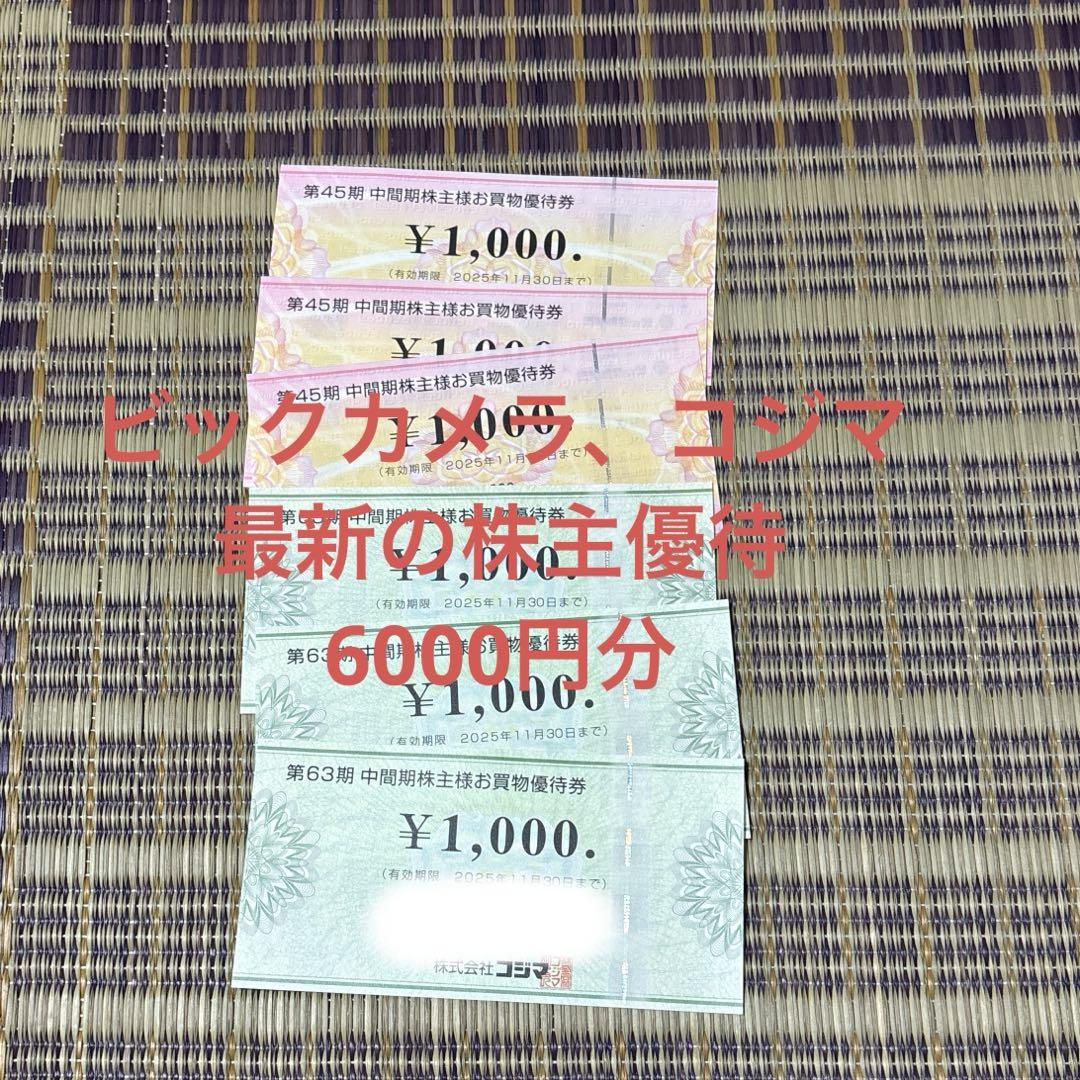 ビックカメラ　コジマ　最新株主優待　6000円分
