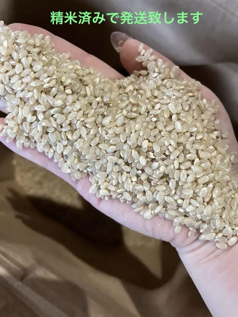 お米　キヌヒカリ　30キロ(精米済み)