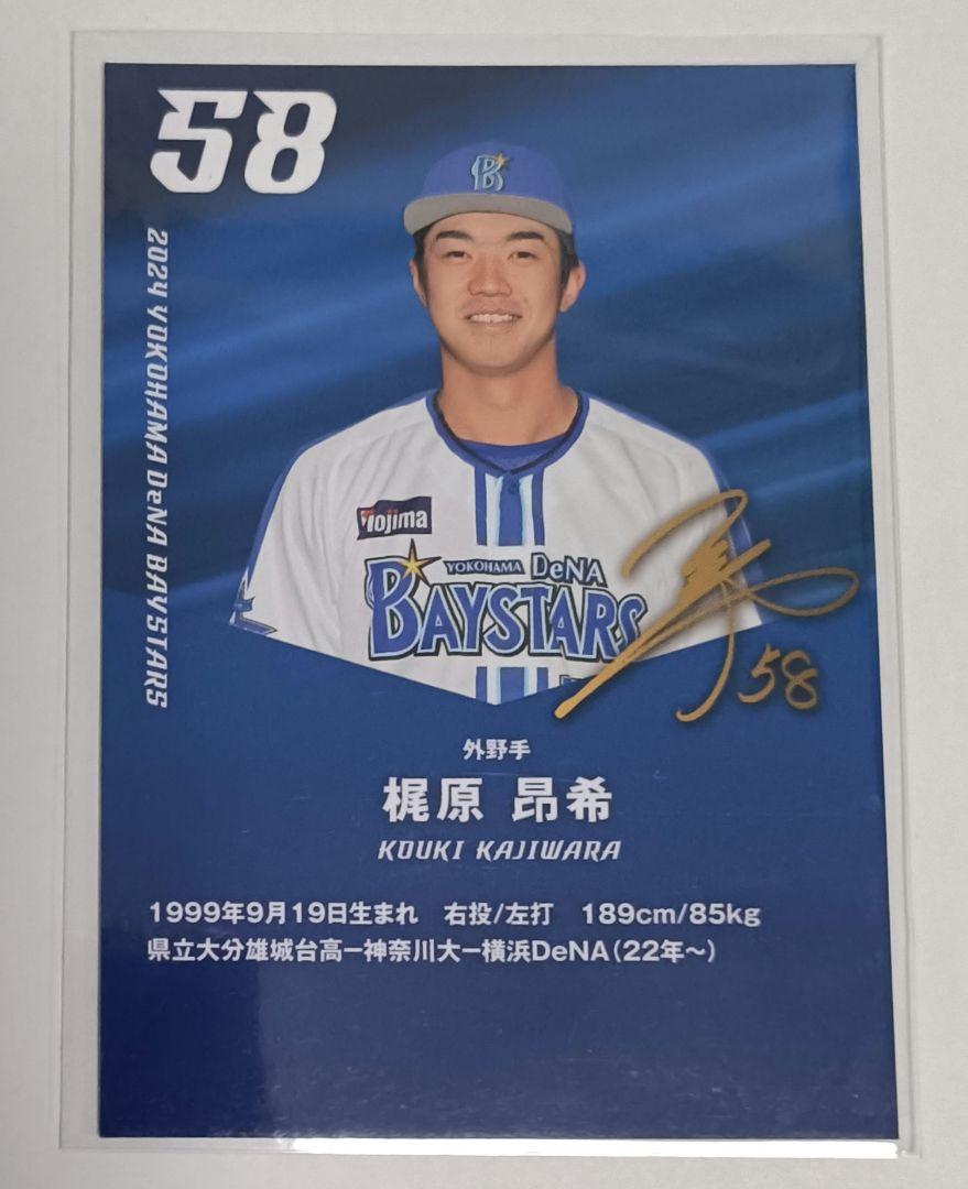 DeNaベイスターズ 限定クライマックスシリーズ記念パカー L 未