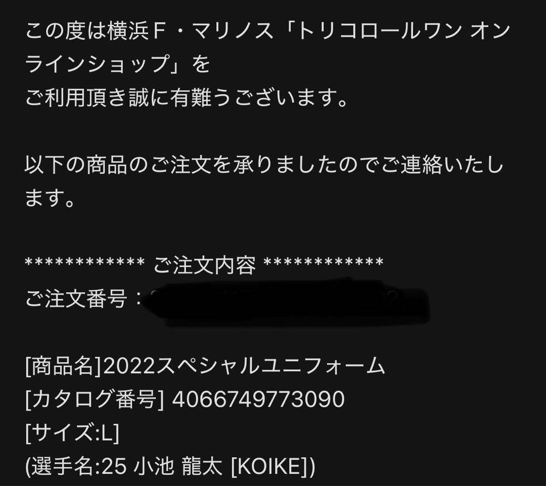横浜F・マリノス 2022 スペシャルユニフォーム Lサイズ #25 小池
