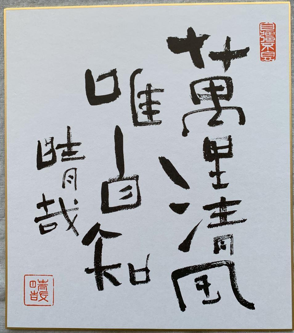野口晴哉著作全集 第3巻 野口晴哉著作全集 第3巻