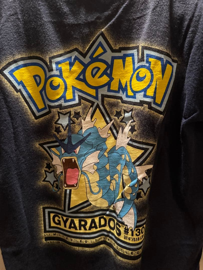レア・ヴィンテージ】ポケモンギャラドスアニメTシャツ