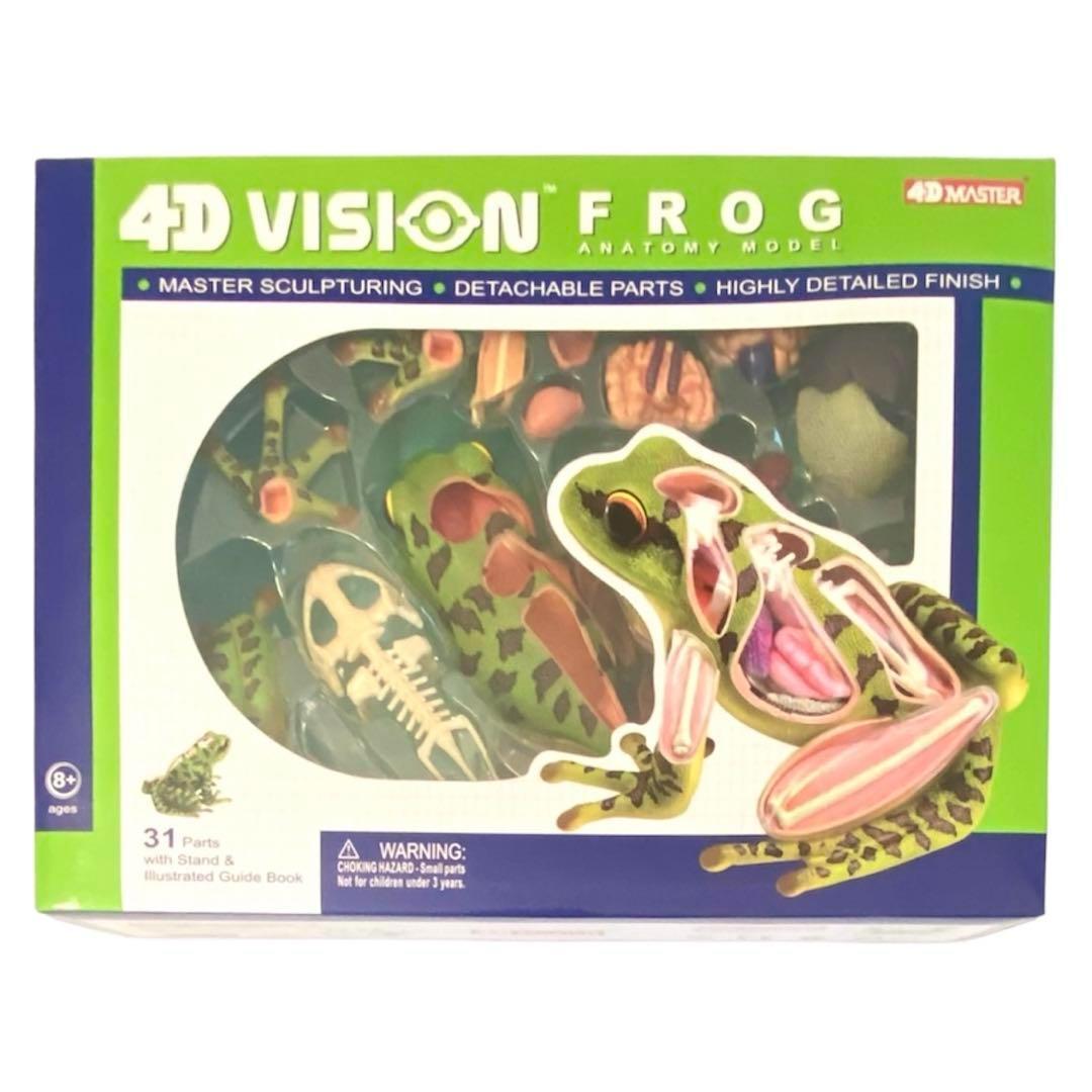 立体パズル　4D VISION 動物解剖　カエル 解剖モデル　FROG Amazon.com: 4D Vision Frog Anatomy Model : Toys & Games