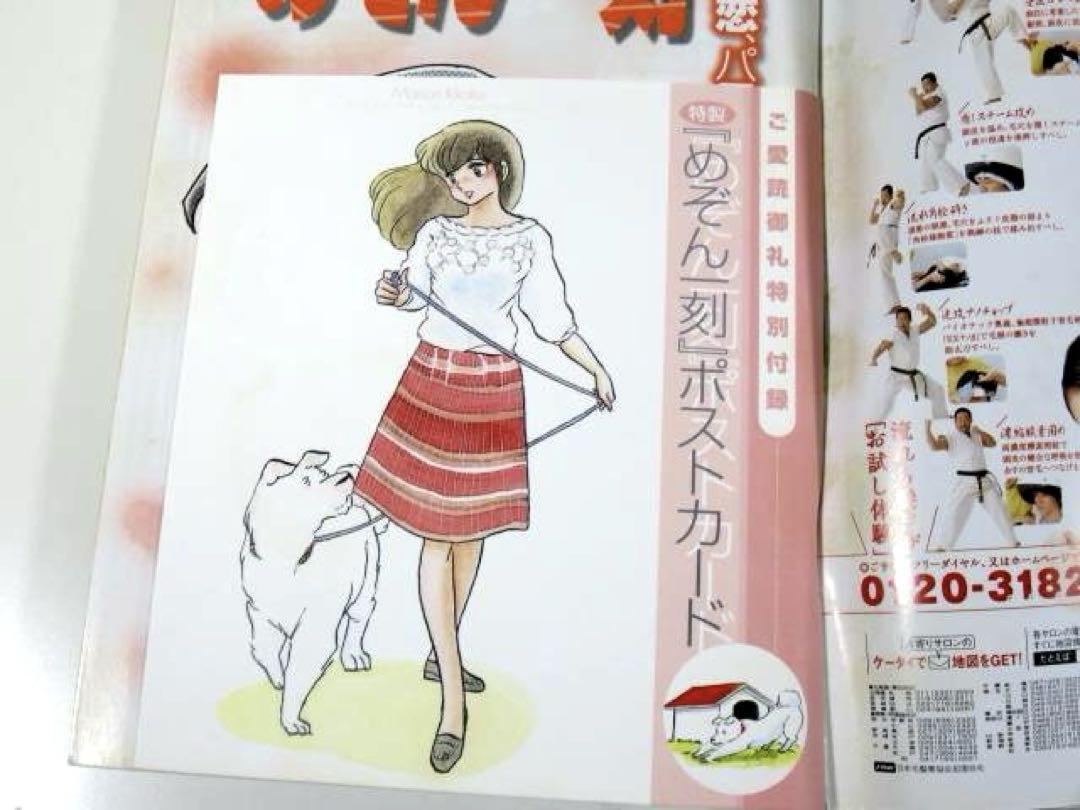 めぞん一刻 全16巻 高橋留美子コレクション ビッグコミックコンパクト