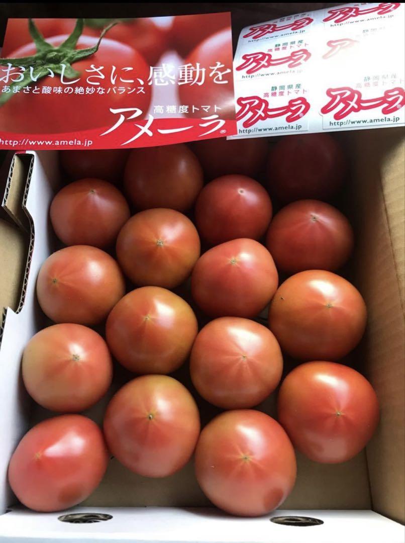 2ケース　アメーラトマト　自信あります 高糖度　フルーツトマト　品質鮮度抜群！