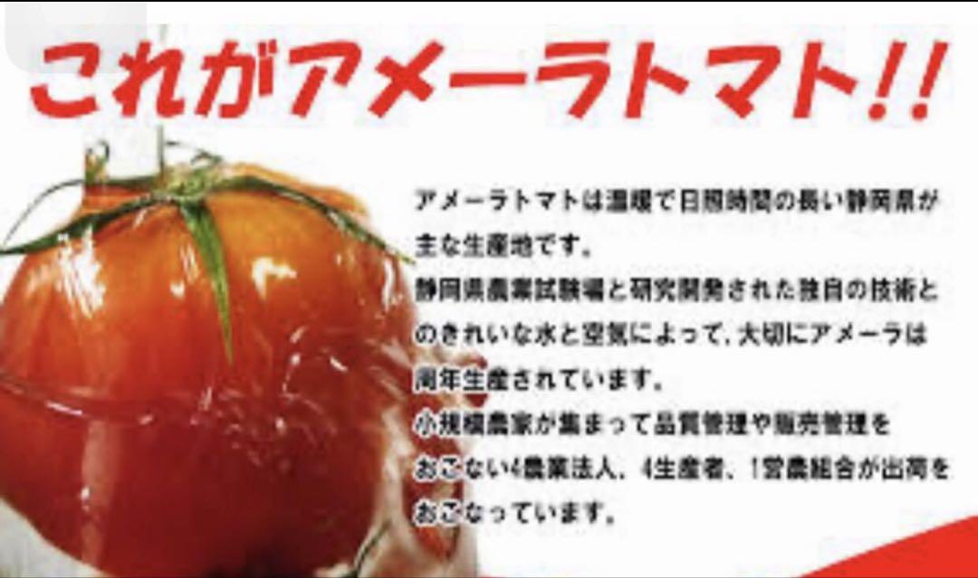 2ケース　アメーラトマト　自信あります 高糖度　フルーツトマト　品質鮮度抜群！
