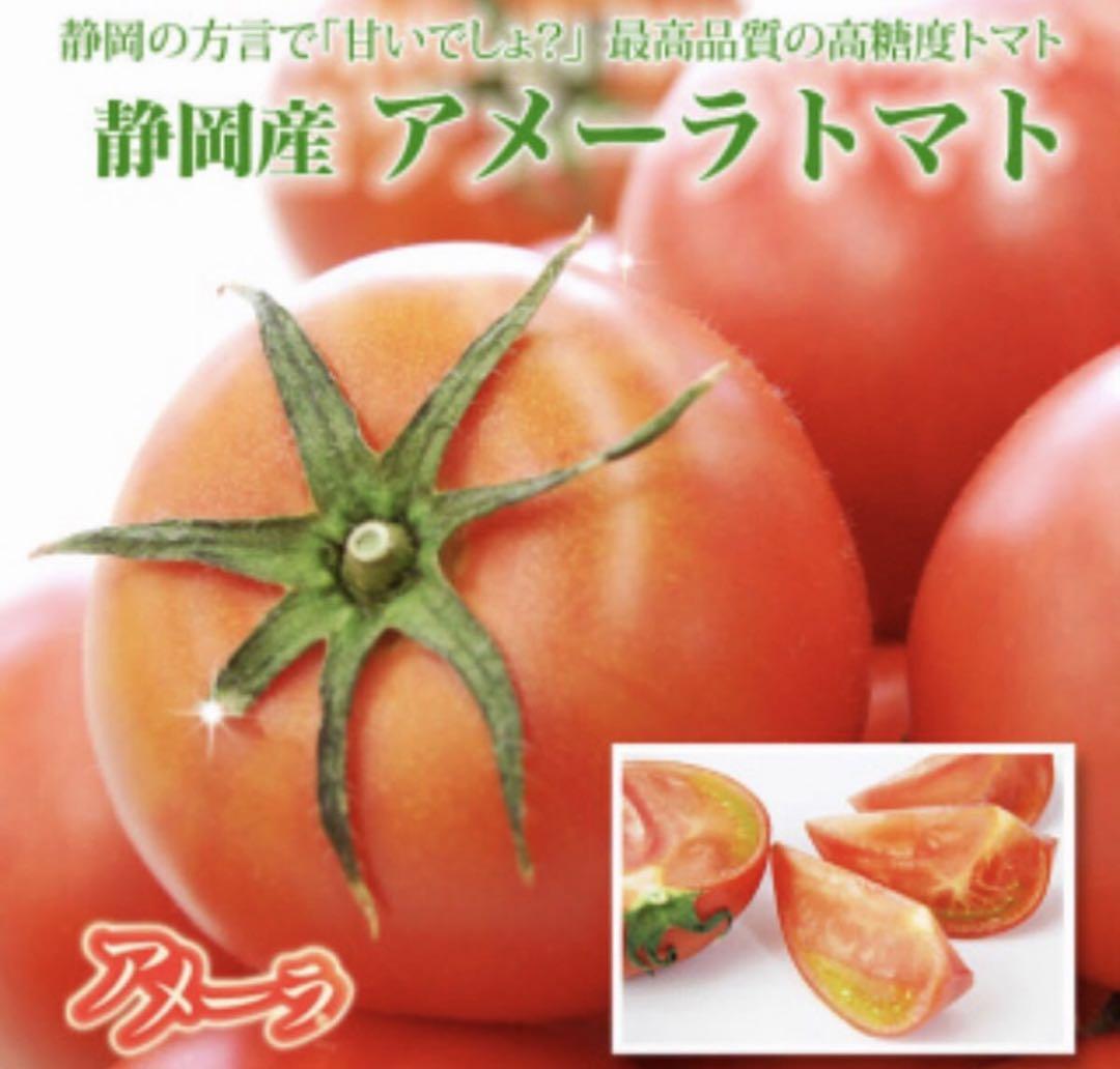 2ケース　アメーラトマト　自信あります 高糖度　フルーツトマト　品質鮮度抜群！