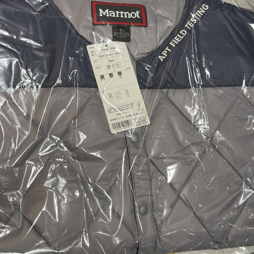 L STABRIDGE × Marmot DOWN T-SHIRT Gray