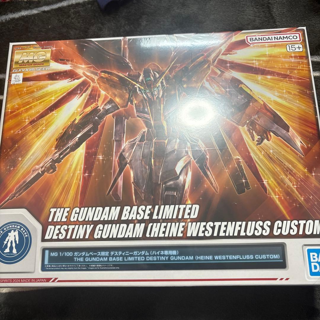 1/100 MG デスティニーガンダム(ハイネ専用機)