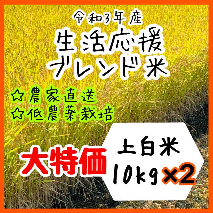 即購入ok 生活応援 ブレンド米 令和3年産上白米10kg 2袋 Sale 66 Off