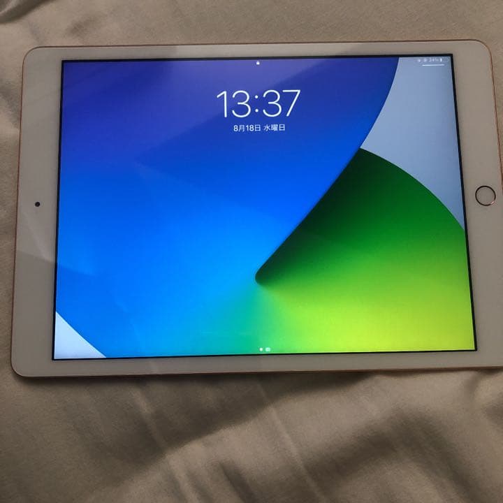 iPad 第7世代 ゴールド 32gb 本体とケースのみ gruporio.net