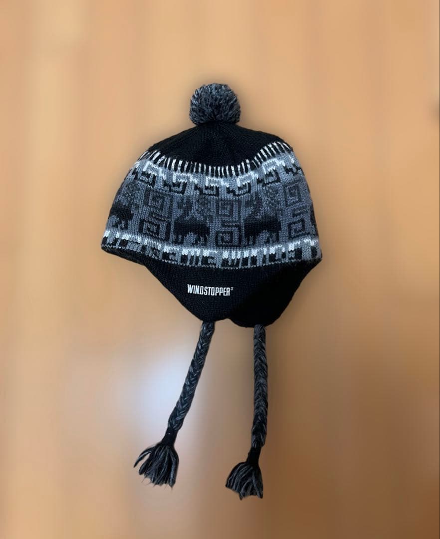 Supreme 20AW ゴアテックスビーニーSUPREME