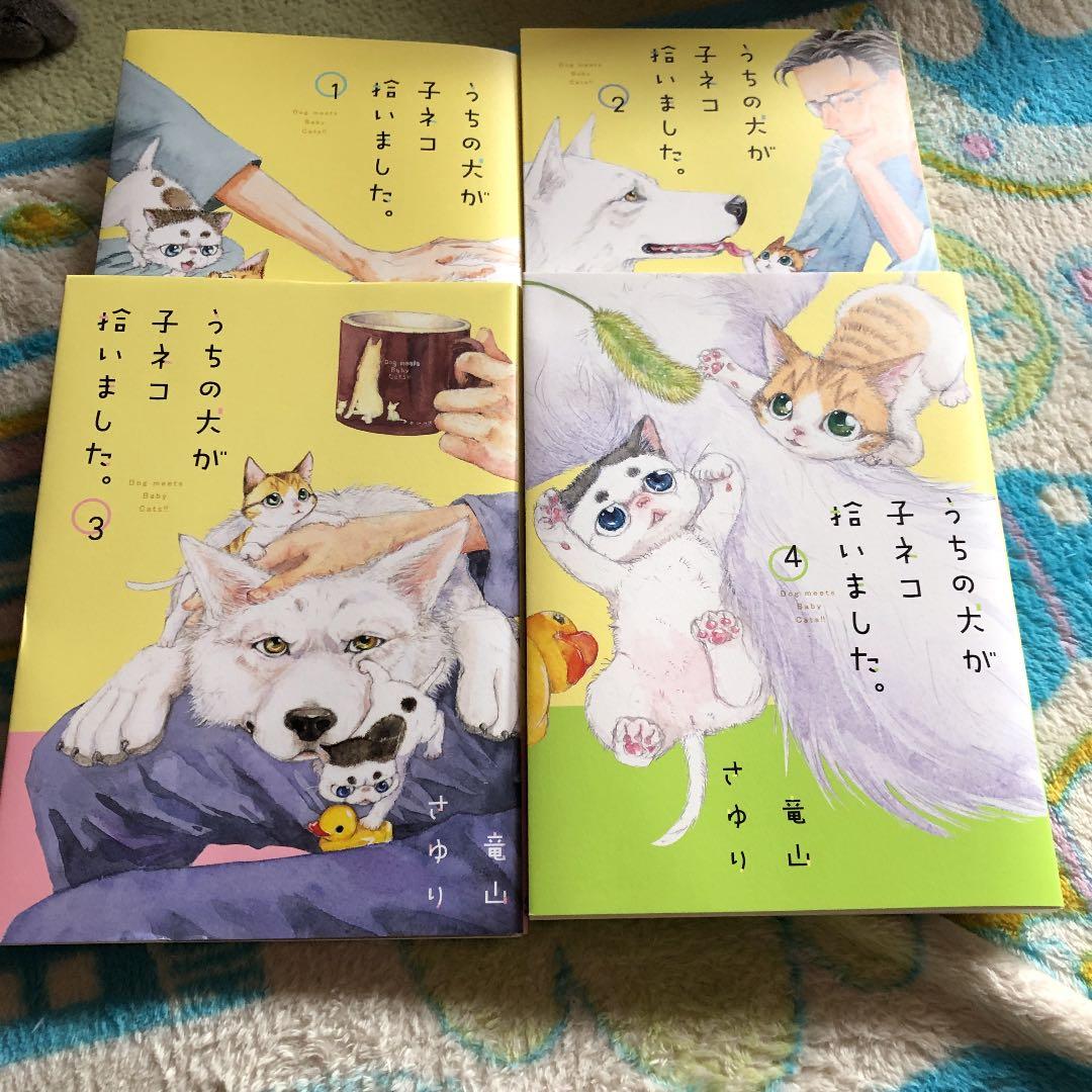 うちの犬が子ネコ拾いました 3gqjimwpnk 女性漫画 Bellcountyhealthky Org