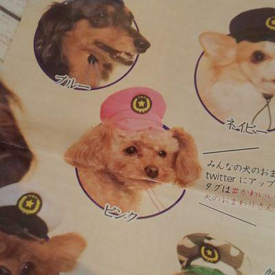 いぬのかぶりもの 犬のおまわりさん ピンク二個セット メルカリ いぬのかぶりもの 犬のおまわりさん ピンク二個セット メルカリ