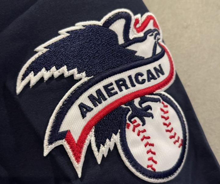 い出のひと時に とびきりのおしゃれを 完売品 Fcrb 21aw M Mlb ヤンキース パーカー アノラック 新品 その他 Caes Com Do