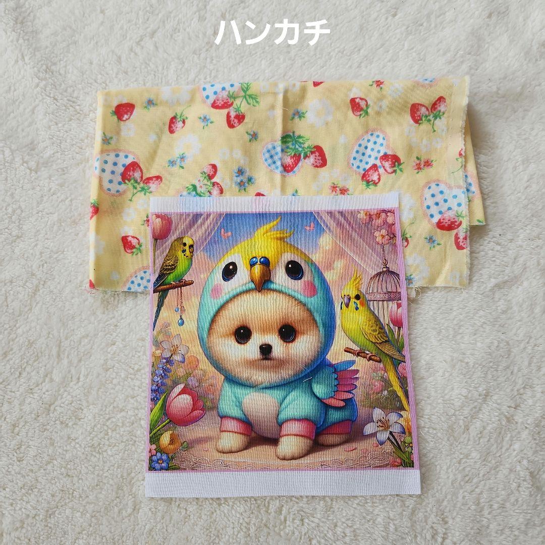 Yourelia　①-2