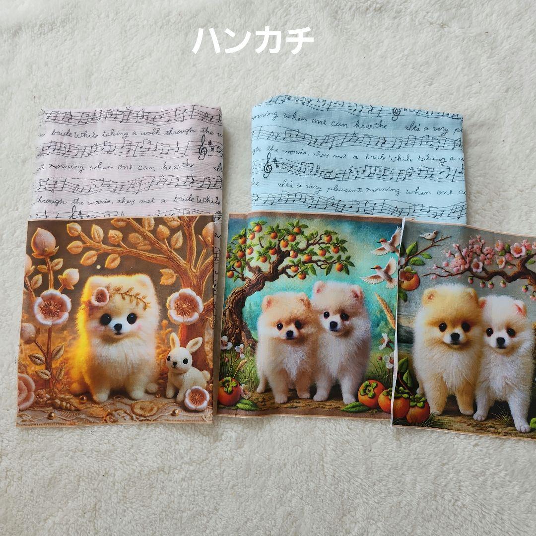 Yourelia　①-2