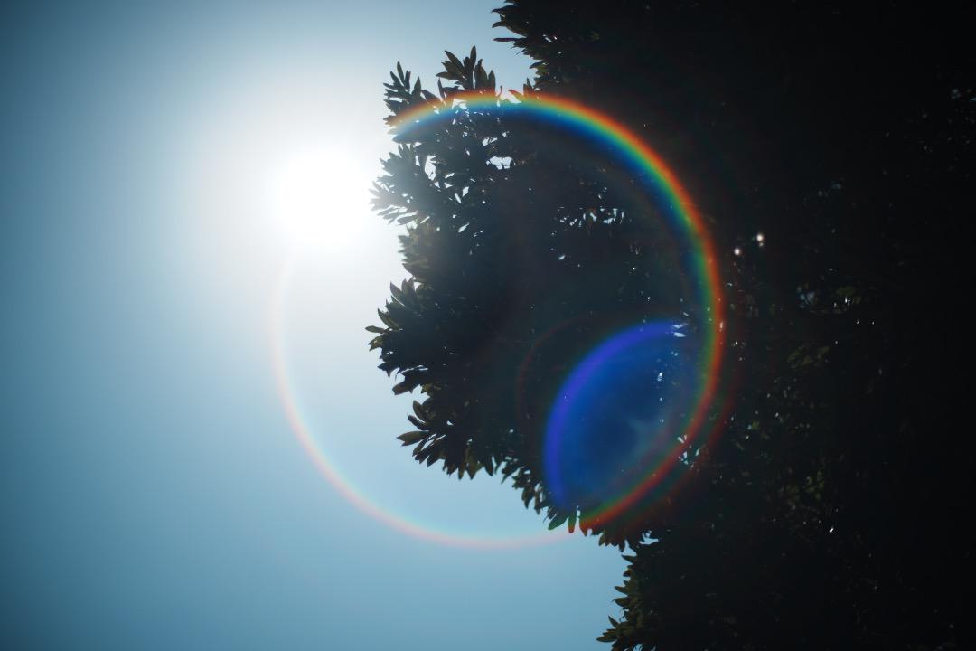 【珍個体】Carl Zeiss Planar 50mm F1.4 AEJ 030