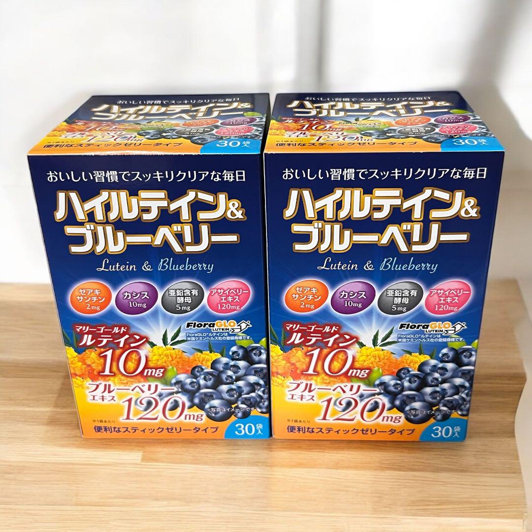 【便利なスティックゼリータイプ】ハイルテイン&ブルーベリー ２箱