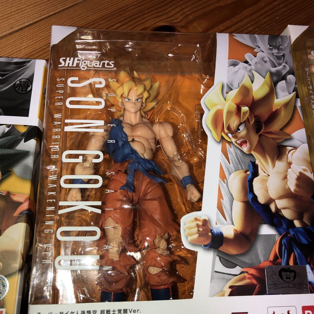 13体セット 属