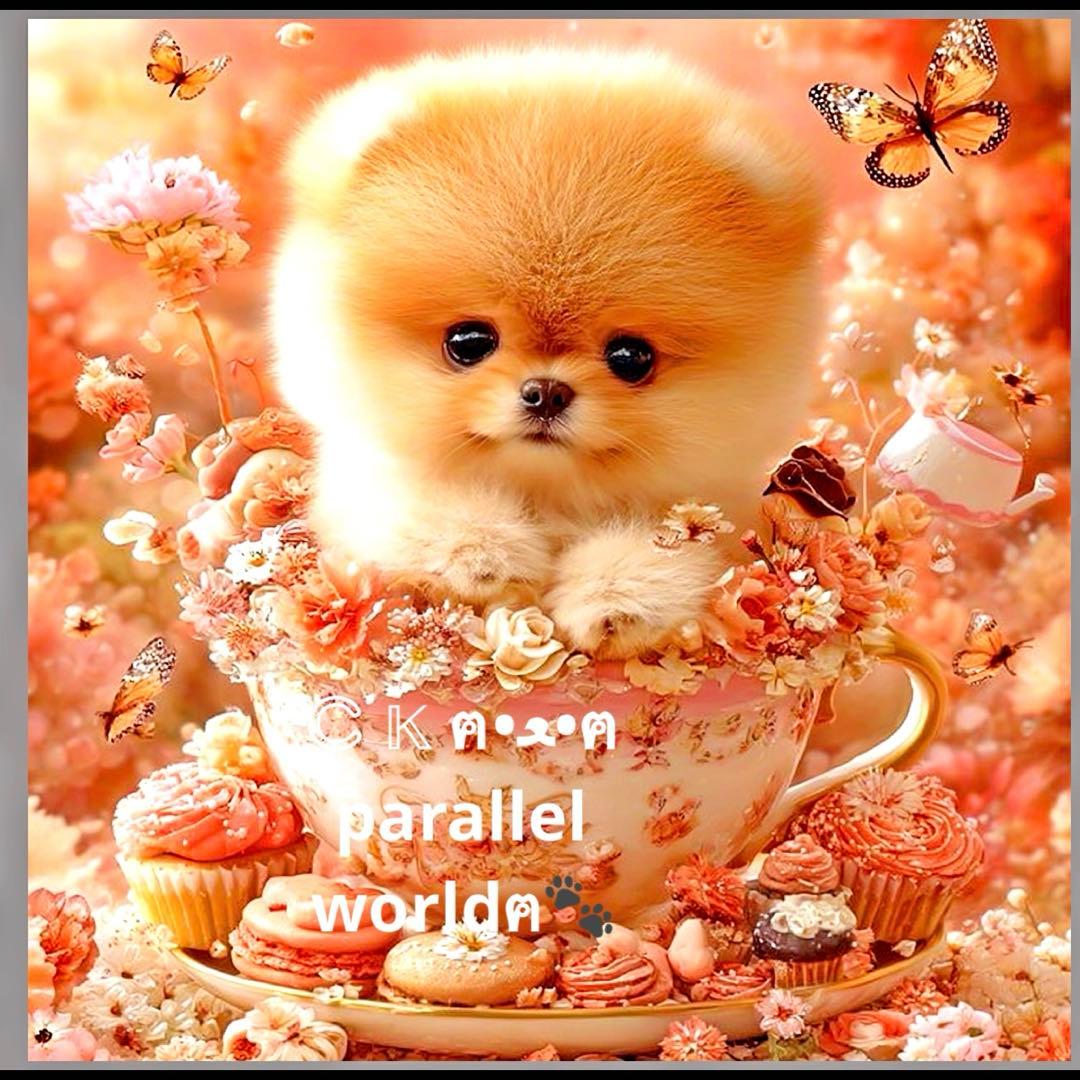 限定10枚　レアパネル生地　6柄セット　ポメラニアンパネル生地