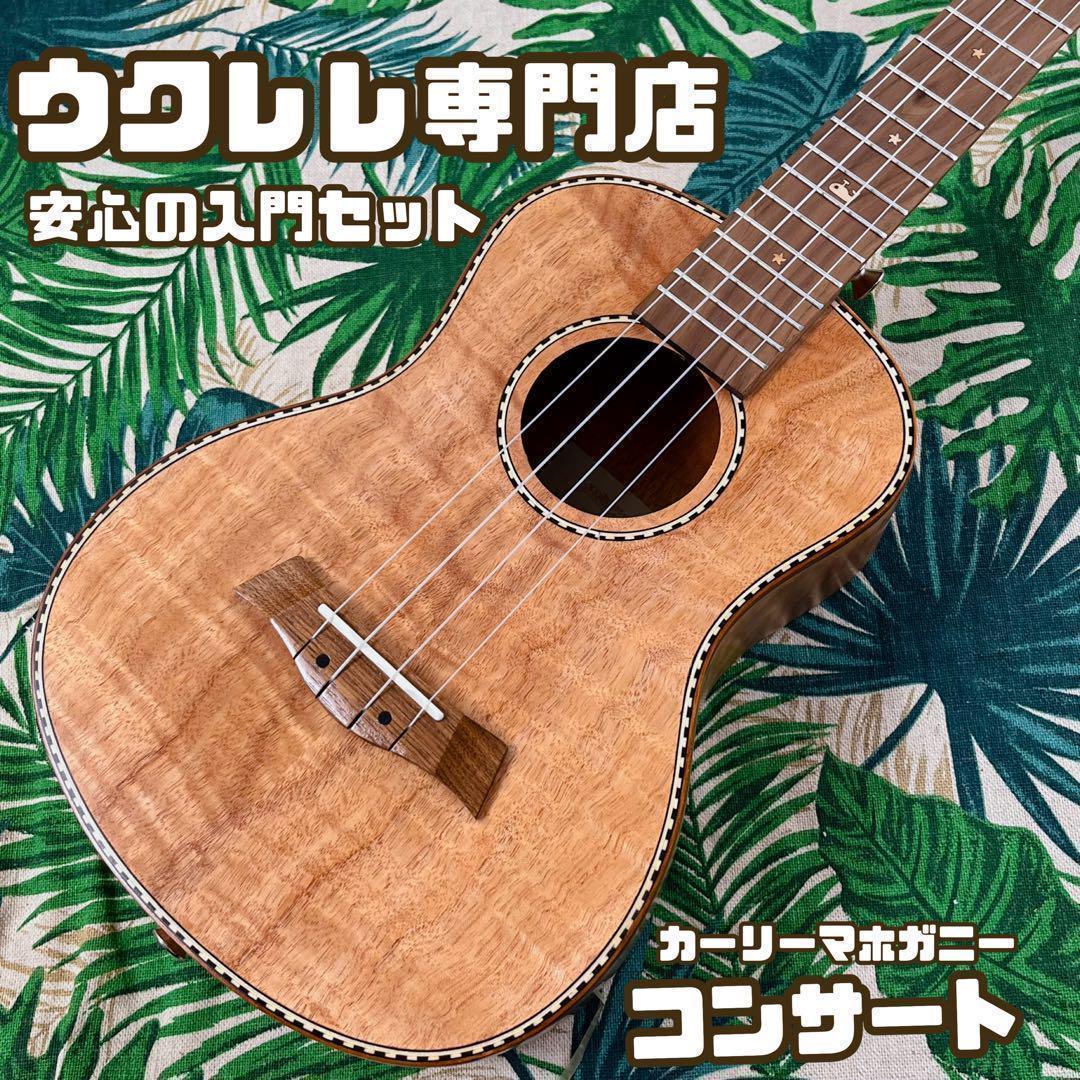 入門セット】RoseFinchスプルース材コンサートウクレレ