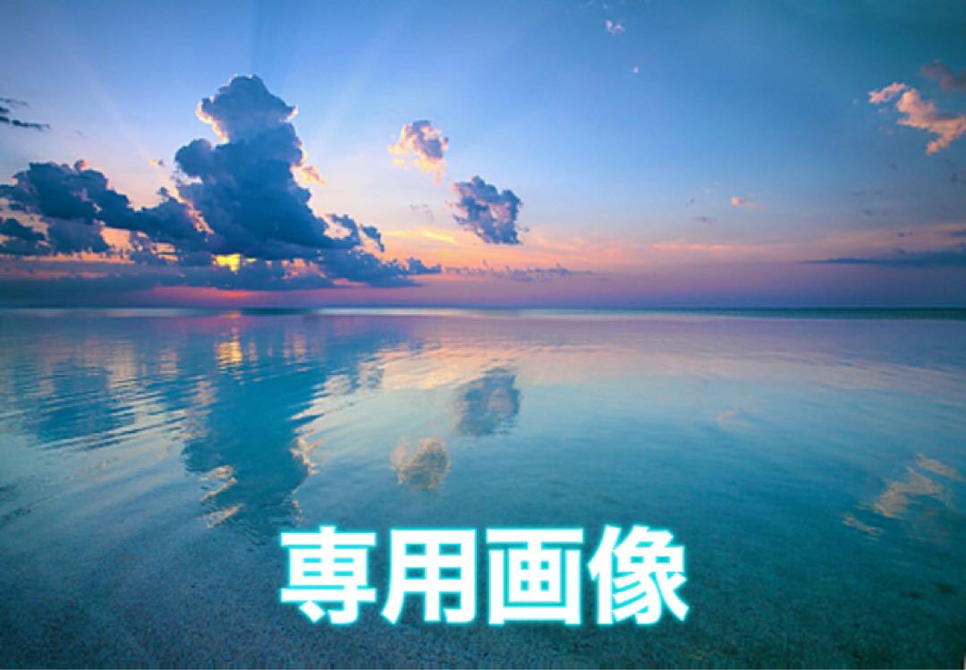 専用