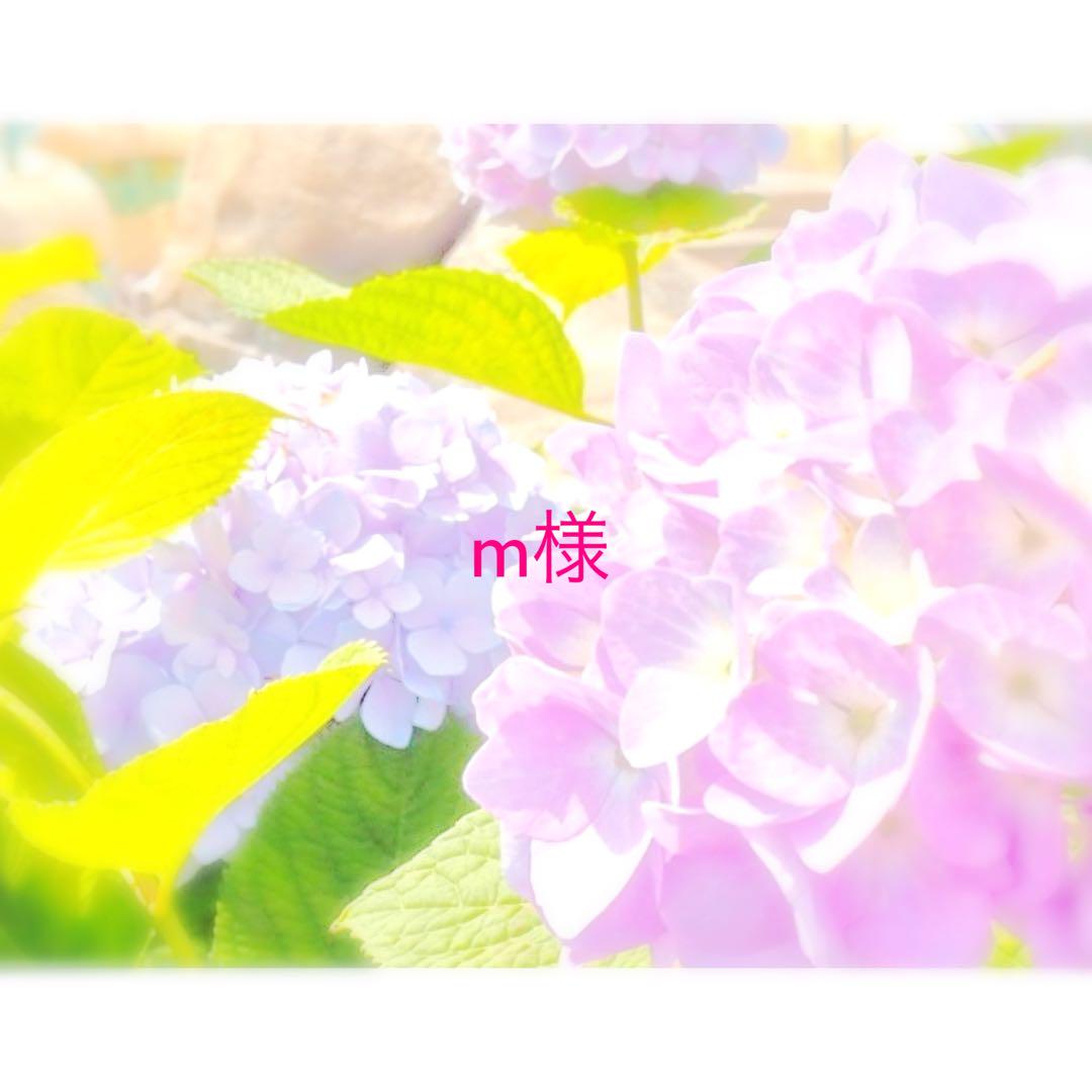 m様　専用ページです。 6,318円