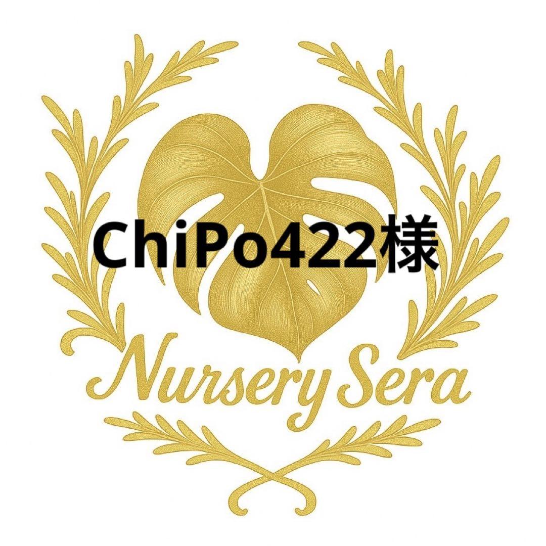 ChiPo422様
