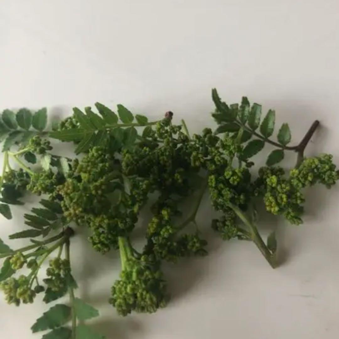 天然　花山椒100g 滋賀県
