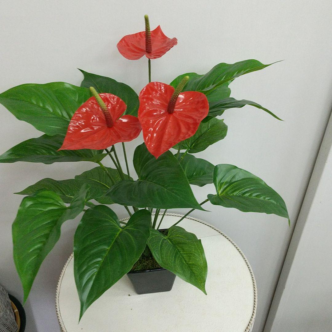人気ブランド 光触媒 アンスリウム 鉢植え 造花 フェイクフラワー おしゃれ人気